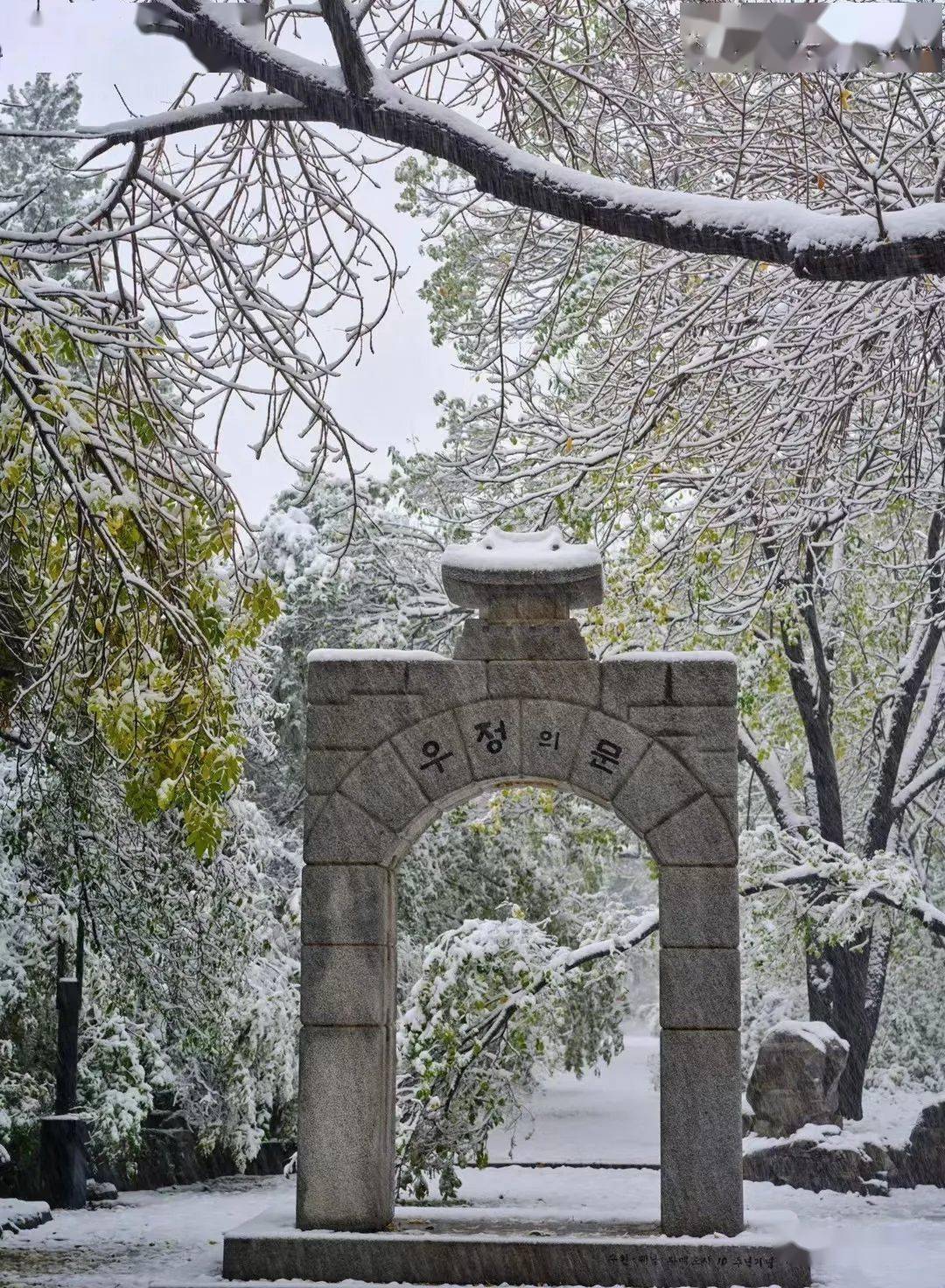 网友|济南雪景美上热搜!网友:一下雪,济南就成了济南府