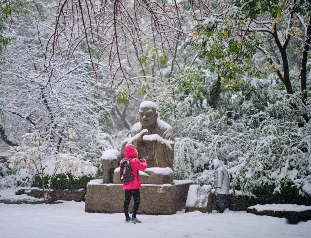 网友|济南雪景美上热搜!网友:一下雪,济南就成了济南府