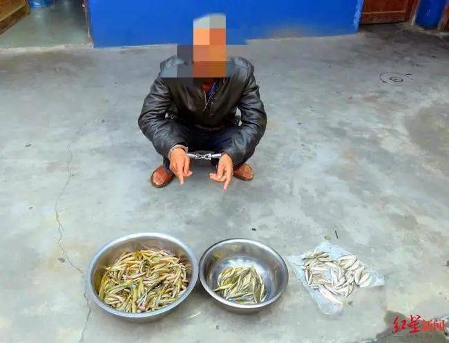 捕鱼所使用的"地笼网"56副,电子捕鱼器机头2组,民警依法对涉案物品