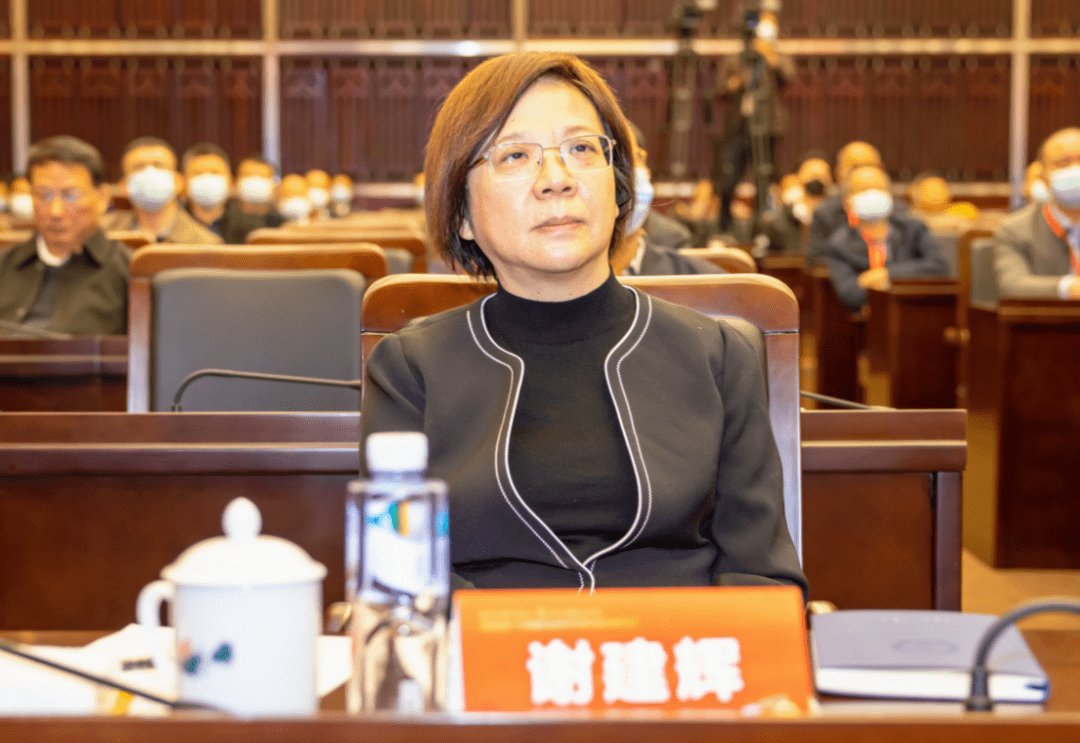 常务副省长,省消防安全委员会主任谢建辉,湖南省人民政府副秘书长,省