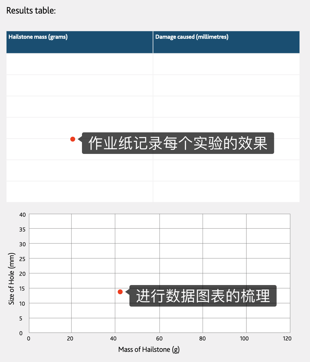 主题|国际学校5年亲历：儿童科学思维，让我推崇至今（附资源下载）