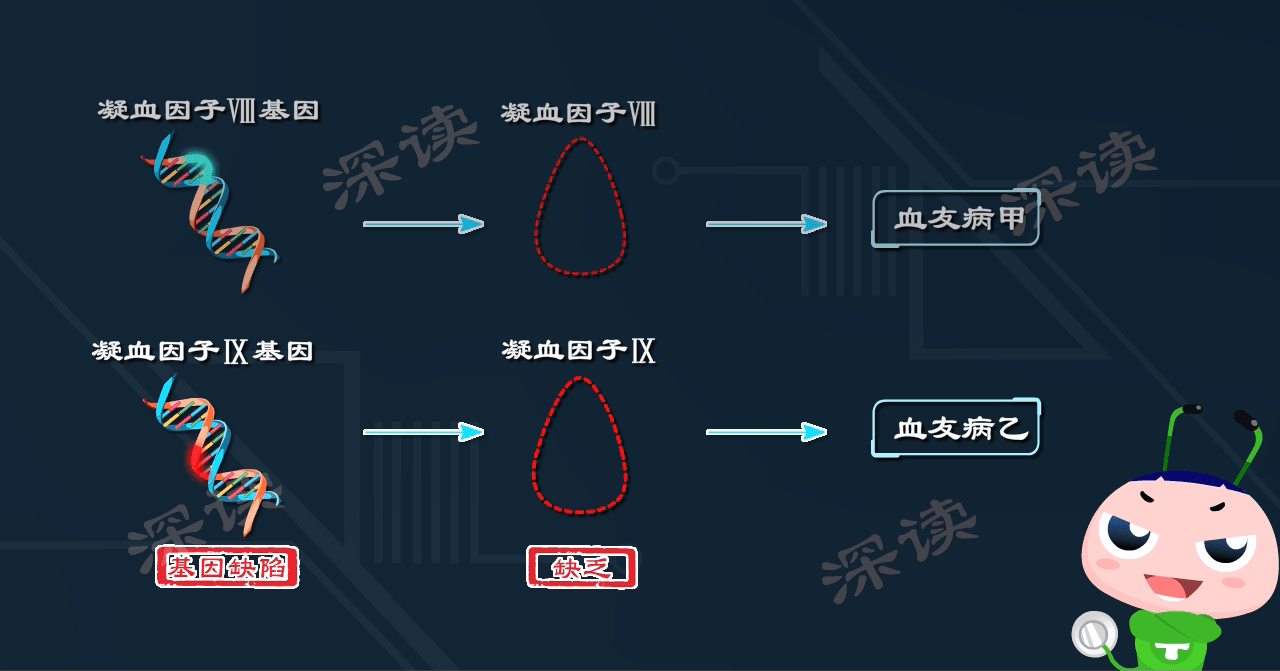 是男孩就得病一度困擾英國皇室的罕見遺傳病血友病到底是個啥