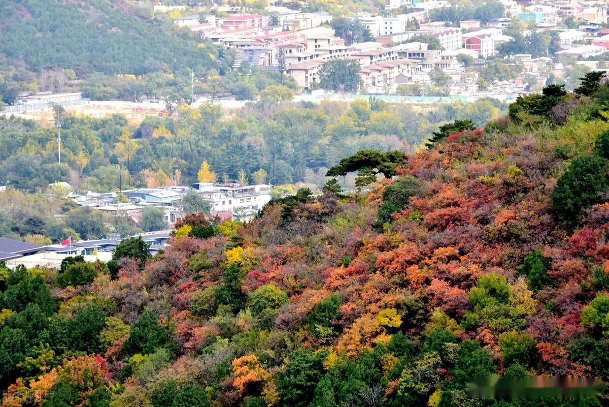 西山晴雪,香山半山亭,正好看紅葉