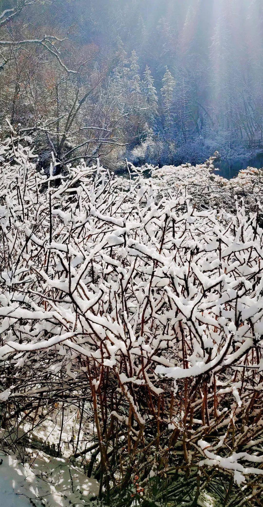 桑措|立冬了 | 我们有雪，你有故事吗？