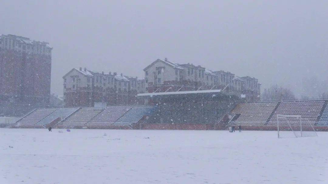 济南|一下雪，济南就成了济南府。