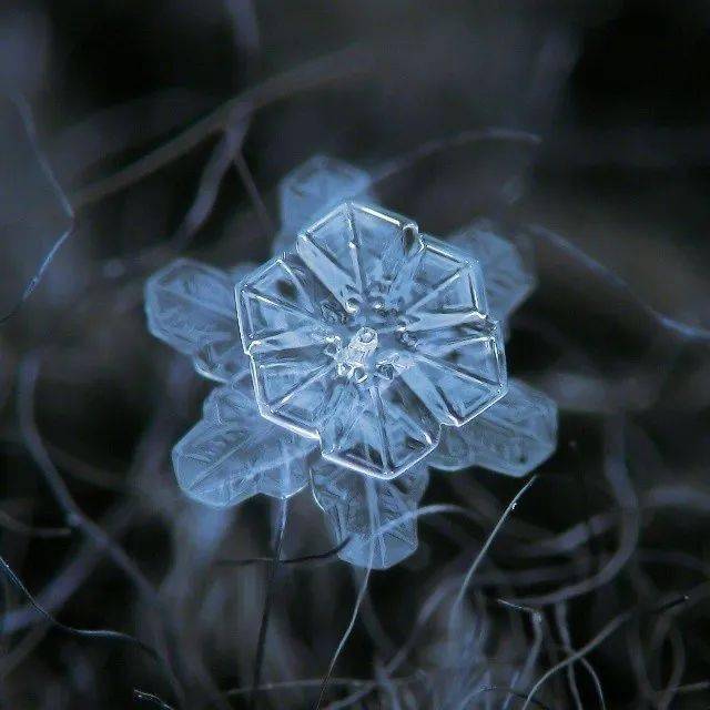 雪花神奇！他用显微镜100倍拍摄雪花，引上万人围观：好美~