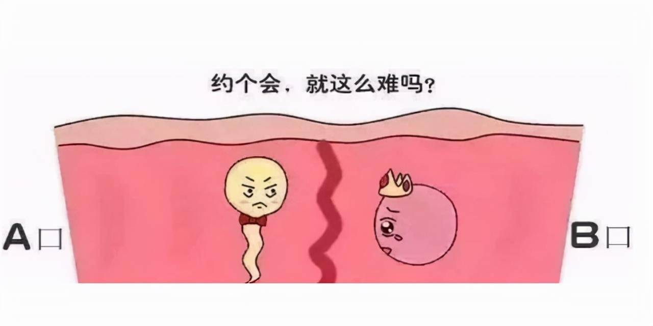 女性结扎之后排出的卵子去哪里了呢看完或许更明白