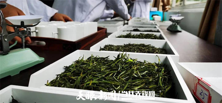 速溶茶粉在快节奏生活中的流行趋势