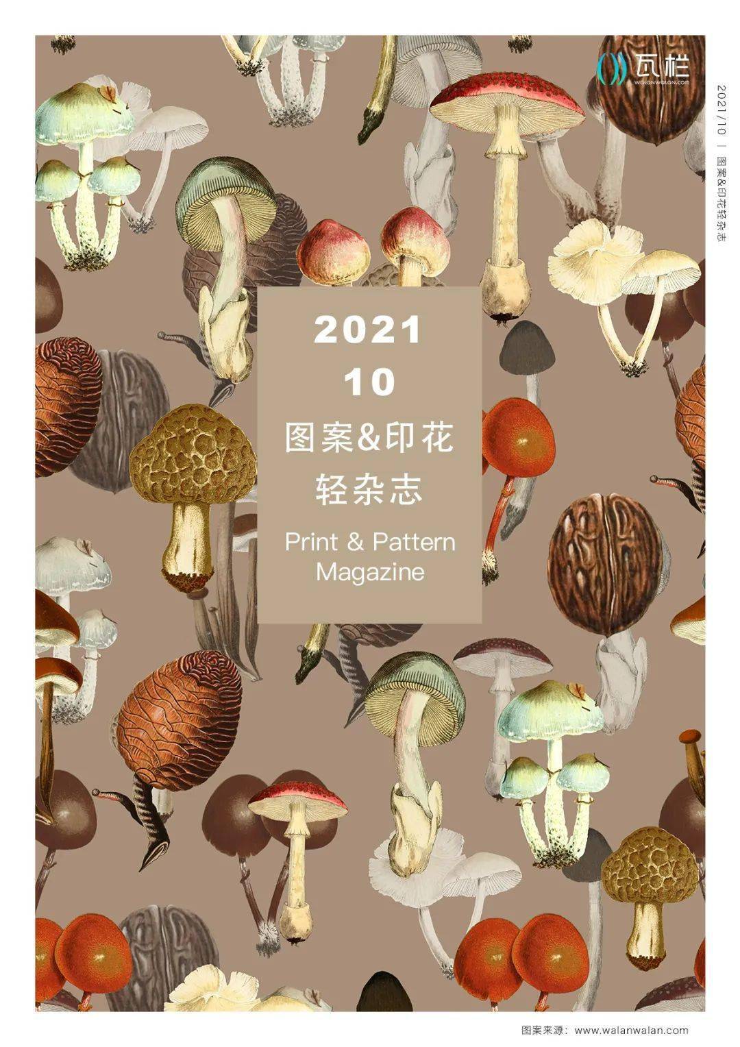 活动 双11活动倒计时3天，你来看看《图案&印花 轻杂志》第十期最新花型