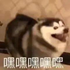 老婆|【聊天室】麻醉没清醒时的迷惑行为，好家伙这是麻倒了还是喝多了？