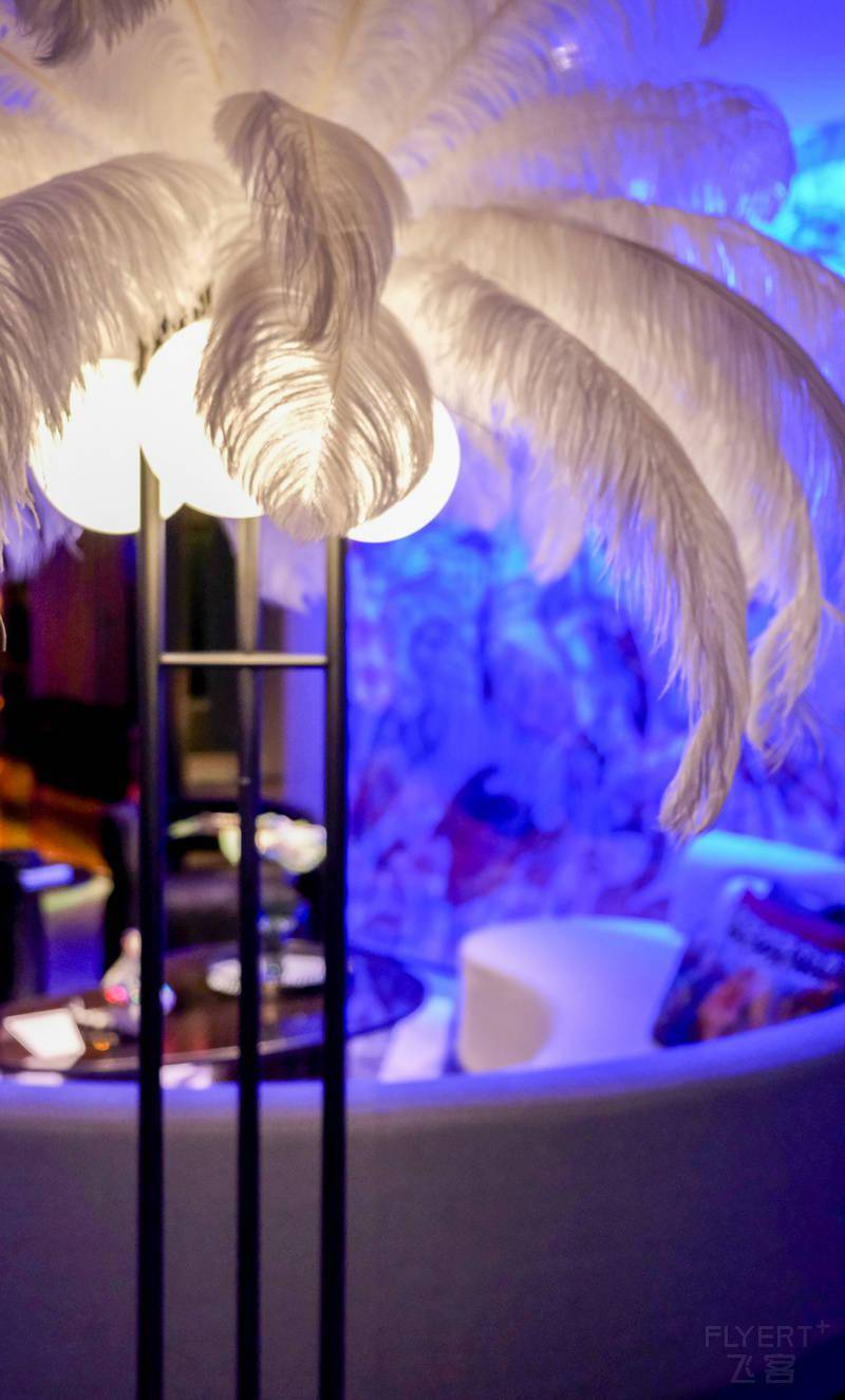 宝龙厦门是一个洋溢着青春活力的城市，与W品牌可谓是天作之合