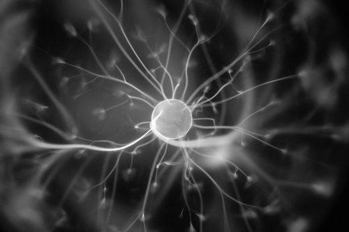 “自组织”让“电老虎”少吃多干