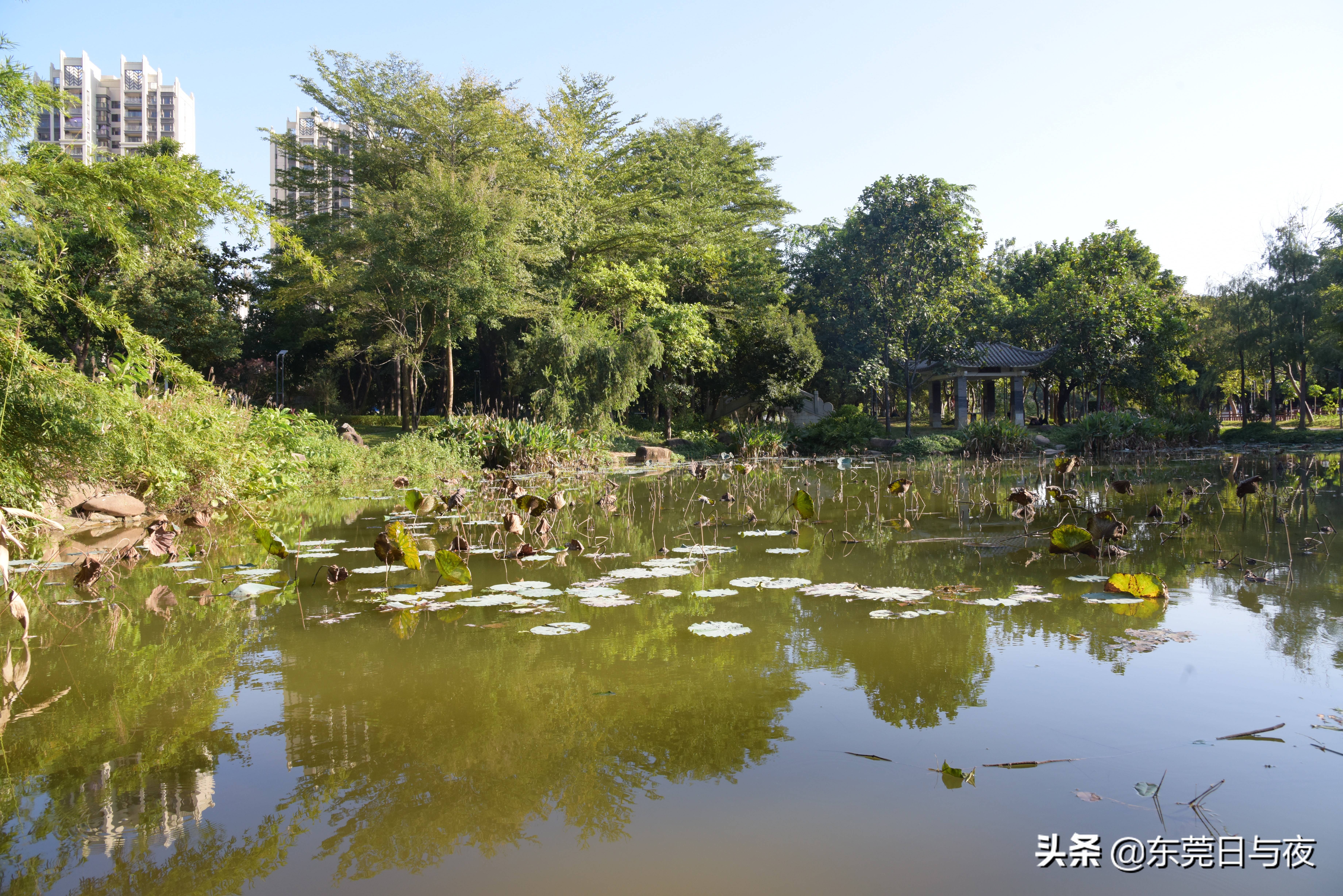 东莞清溪旅游图片