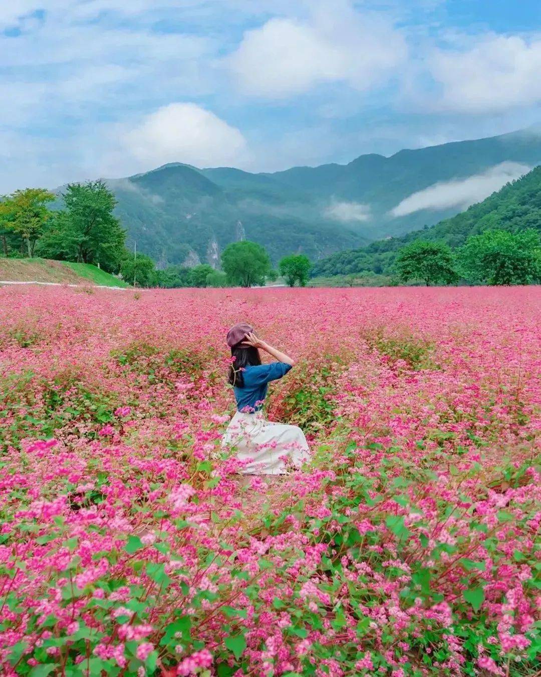 美人,美花,美景!_photo