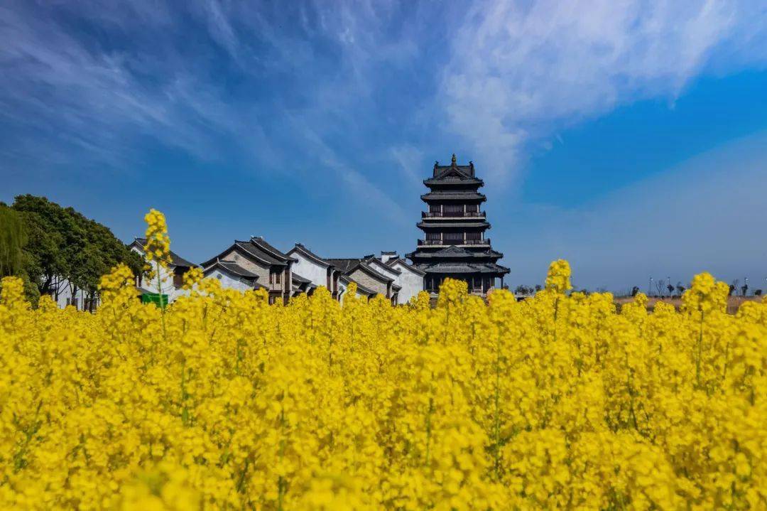 霞浦|中国唯一没有山的城市！拥有江苏唯一世界自然遗产，不输霞浦，却被忽略千年