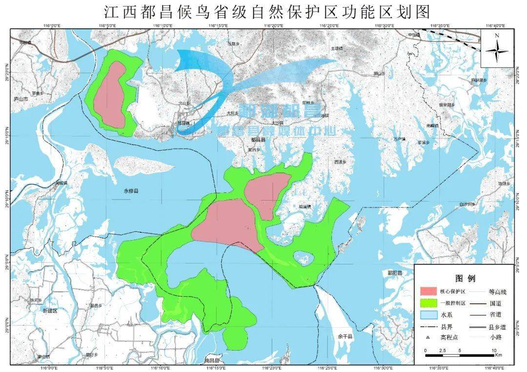 都昌觀鳥攻略_候鳥