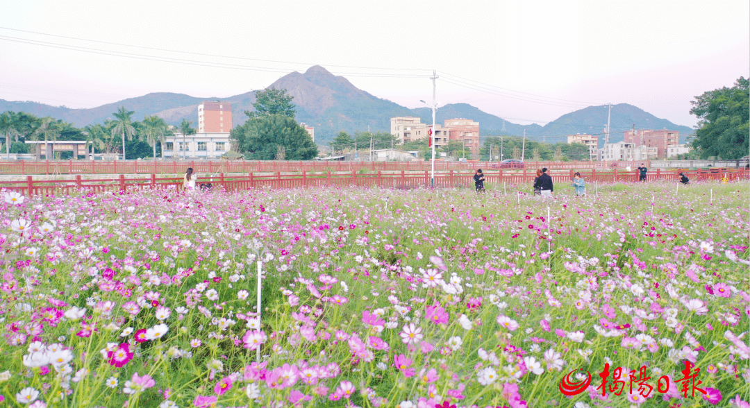 普宁市溪桥村图片