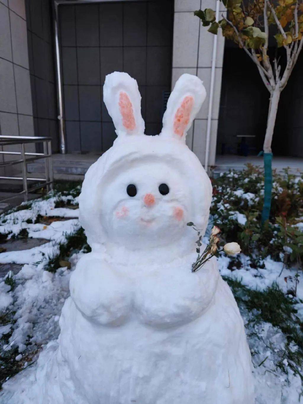 感觉见多了花里胡哨的奇怪雪人，今天就来看点可可爱爱的！