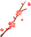 时间|定了，就在明天、后天!