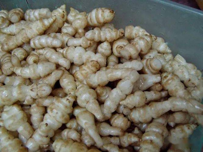 莼菜鲈鱼自是晚秋江南美味,当然也是张翰的个人爱好,恰如羊枣脍炙的同