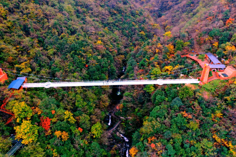 茶山滑道"一半红叶,一半绿意"深秋的风,染红了山