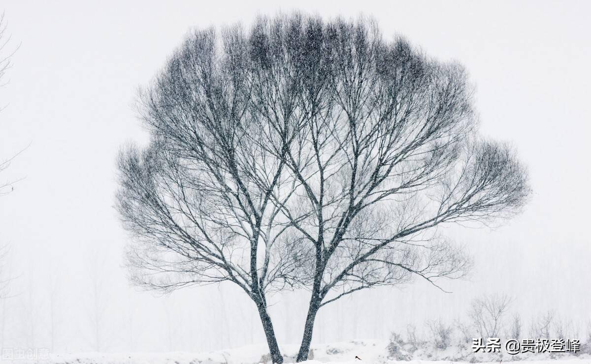 天兵照雪下玉关，虏箭如沙射金甲