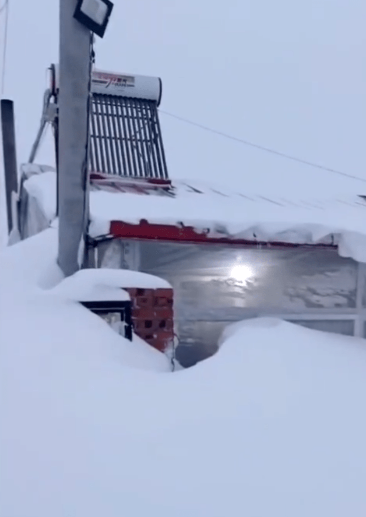 东北|雪一直下，连东北人都开始害怕了！