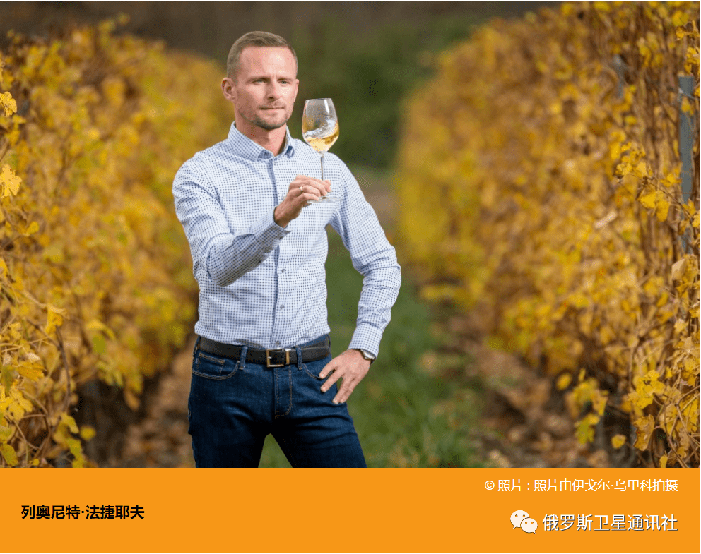 饮品|俄罗斯能酿造出优于法国的葡萄酒吗?