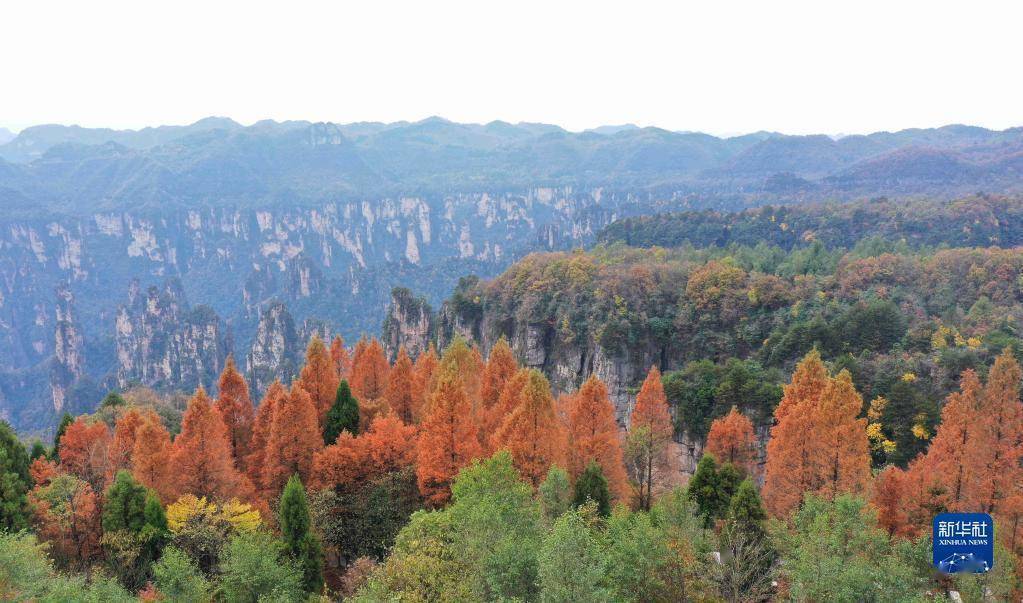 张家界|湖南张家界：峰林色彩斑斓景色美