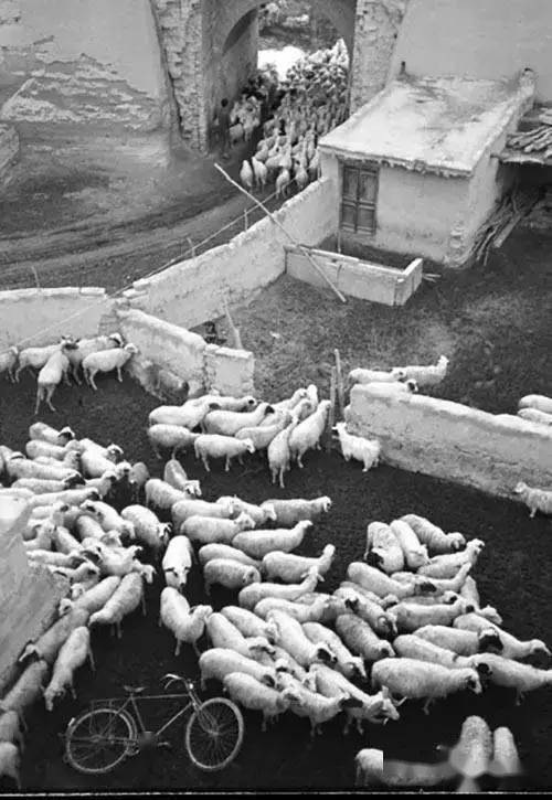 设备要单反何用？手机照样拍出自行车大片！