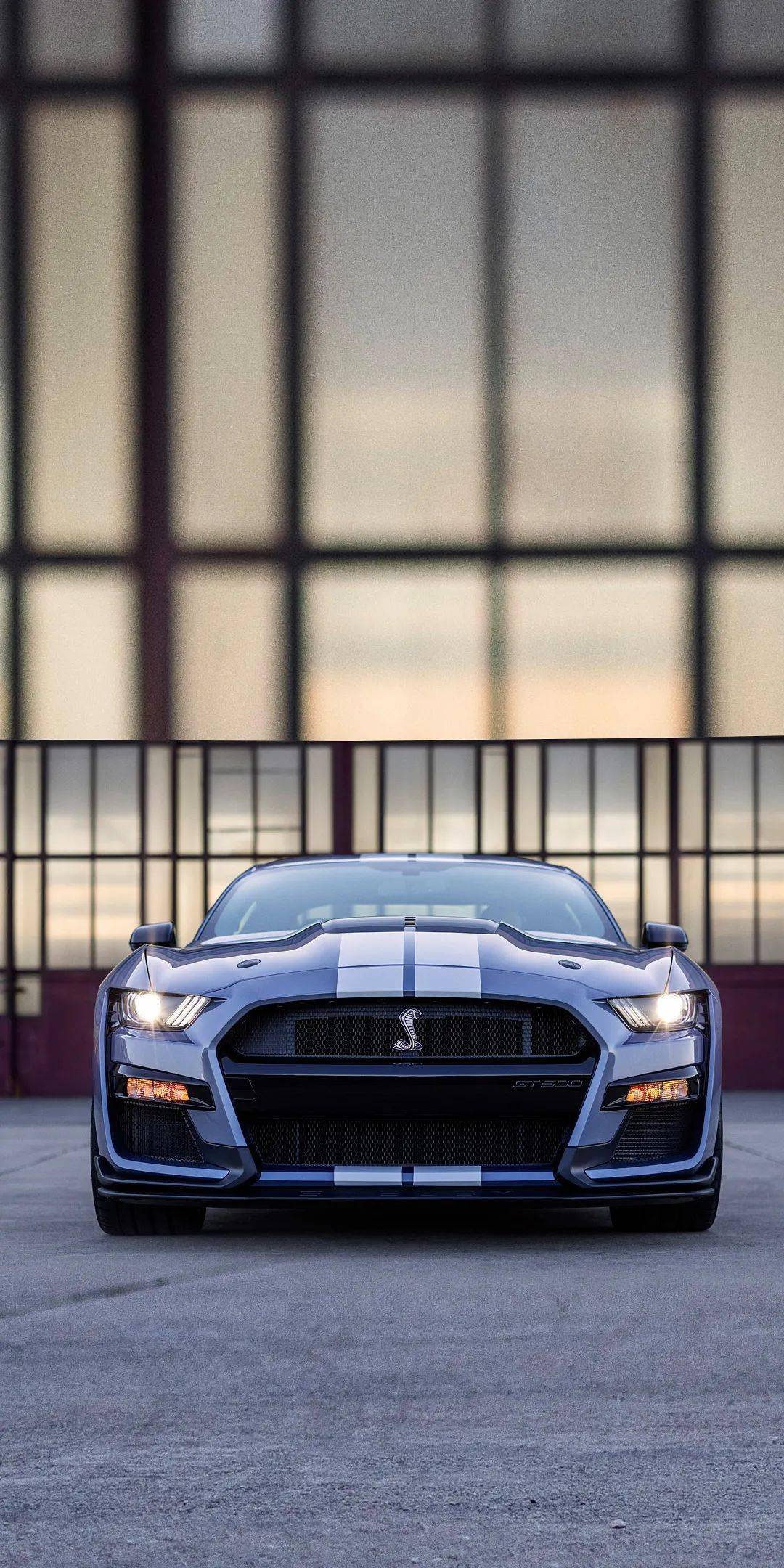 海湾限量版的谢尔比gt500