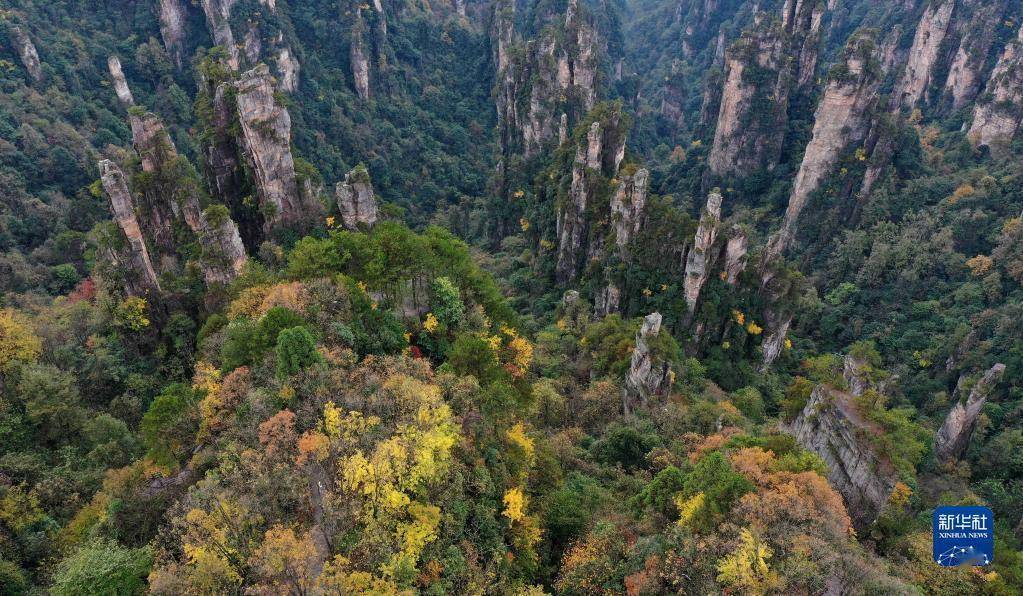 张家界|湖南张家界：峰林色彩斑斓景色美