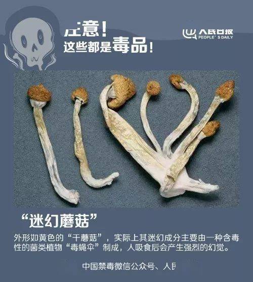 毒品|细思极恐！这种“网红产品”竟掺了毒品？！