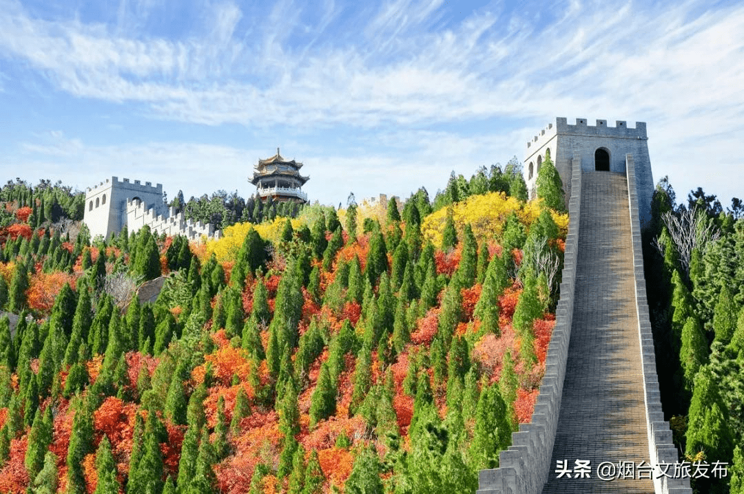 秋色|木叶纷纷落，入眼皆是秋，相约南山赏秋色~