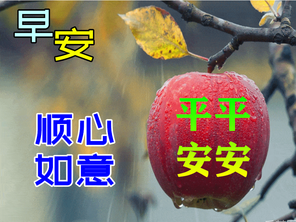 早上好动态表情图片大全,早晨好动图美图大全_问候