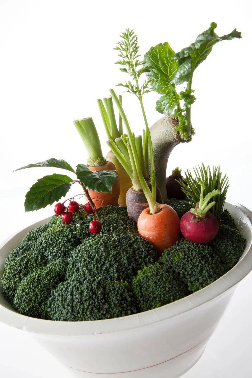 他用蔬菜水果创作的花艺获得大奖