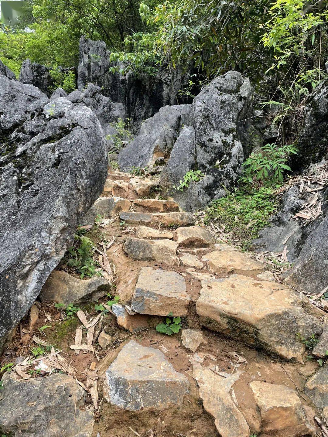 秘境清远探秘千年秦汉古道穿越历史的时光阳山水口石林古道1天