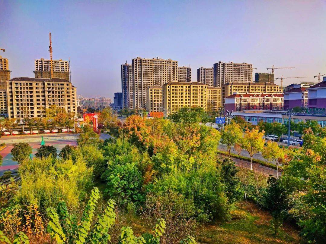 请看！泗县泗城披上黄金甲满城明媚如画卷！