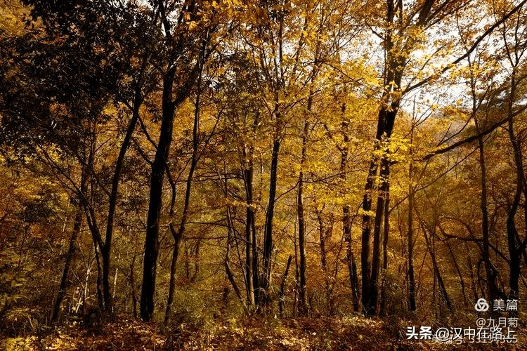 54a1f6fb83b24b188999a3167e38daf1.png