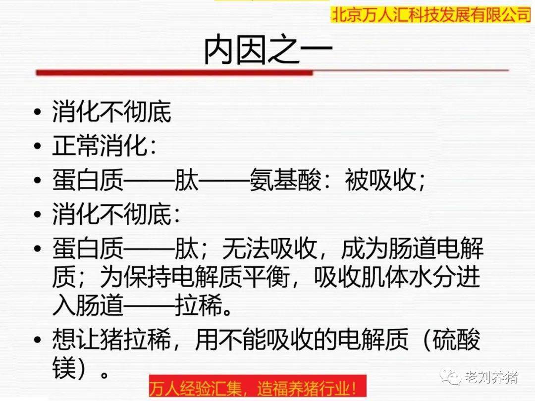 防控小猪拉稀，要先搞清楚内部原因_搜狐网