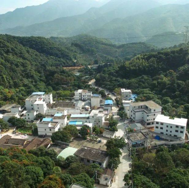 厉害!增城这条村..._畲族