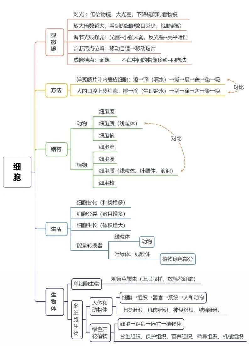 了然|初中生物全册思维导图总结，所有必考点一目 了然！