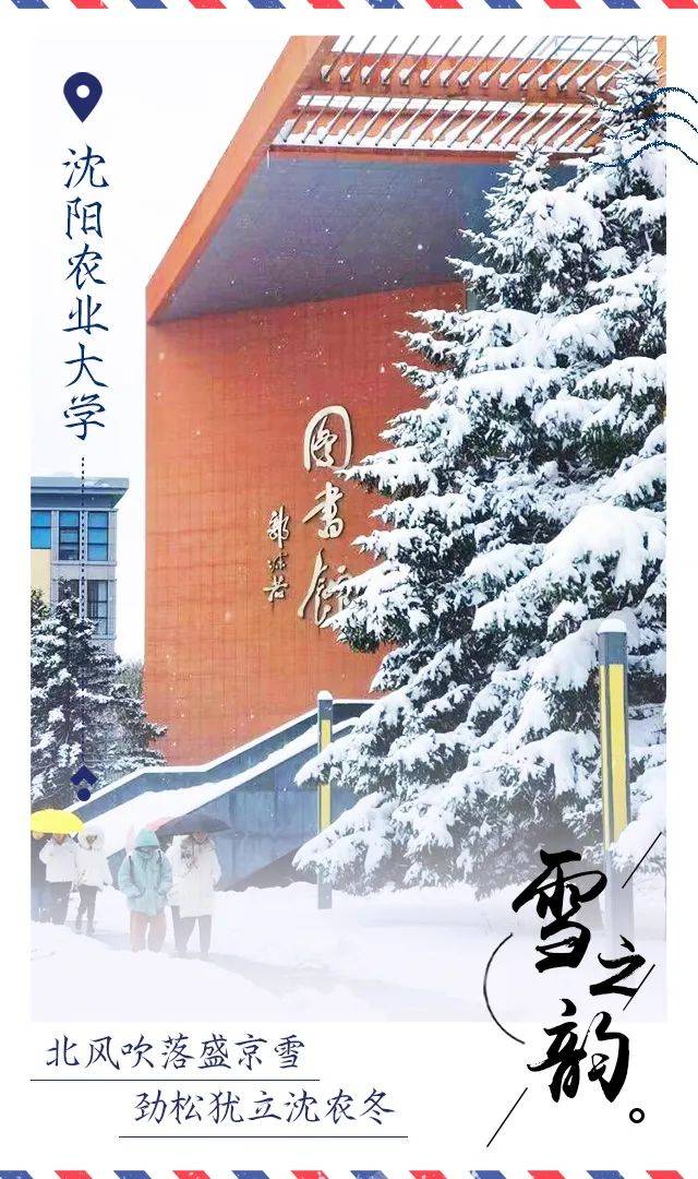 雪花|辽宁高校初雪明信片美哭了