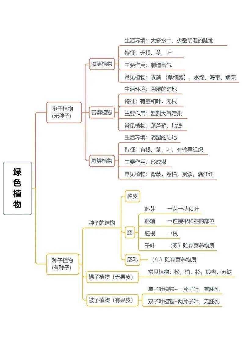 了然|初中生物全册思维导图总结，所有必考点一目 了然！