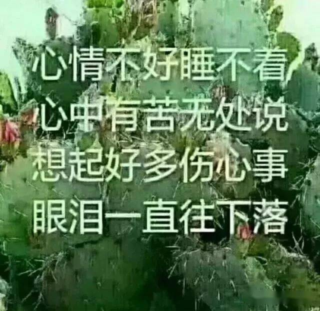 心情不好的說說壓抑委屈難過