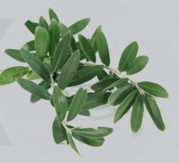 莱雅|理智的成分党都在用什么眼霜抗初老？