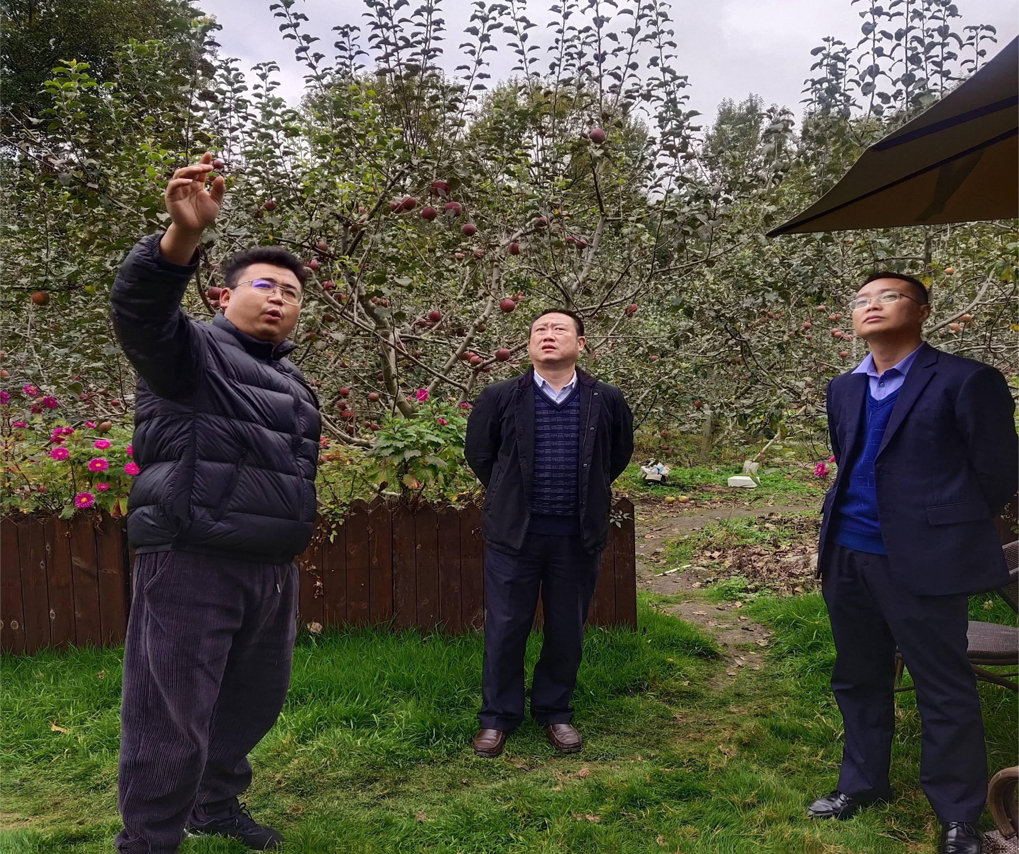 邮储银行|邮储银行甘孜州分行为泸定县大渡河流域乡村振兴项目提供金融服务