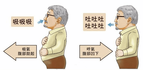 外因|健康呼吸 无与伦比——关注世界慢阻肺日