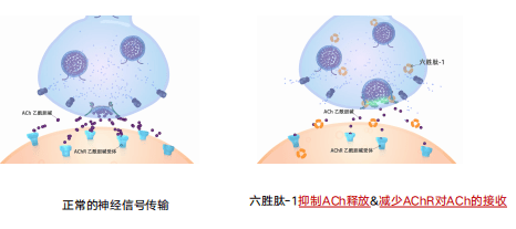 莱雅|理智的成分党都在用什么眼霜抗初老？