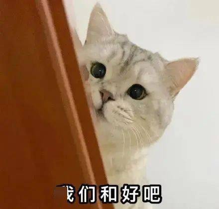 一组实用性很强的吵架求和表情包